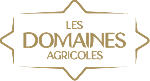 partenaire projectia